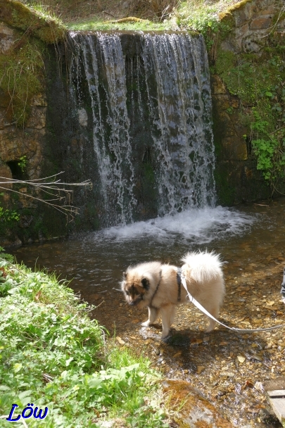 30.3.2024 - Dwix am Wasserfall